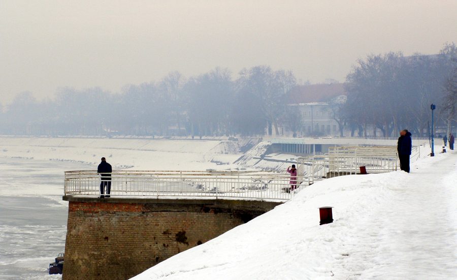 Zale�ena Sava 2012